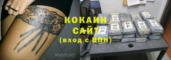 ПСИЛОЦИБИНОВЫЕ ГРИБЫ Горно-Алтайск