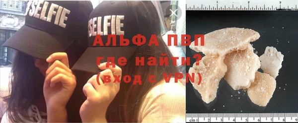 ПСИЛОЦИБИНОВЫЕ ГРИБЫ Горно-Алтайск