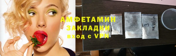 ПСИЛОЦИБИНОВЫЕ ГРИБЫ Горно-Алтайск