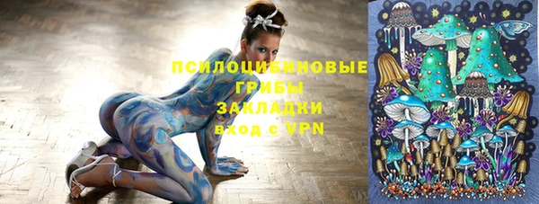 крисы Горнозаводск