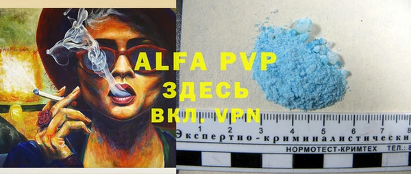 ПСИЛОЦИБИНОВЫЕ ГРИБЫ Горно-Алтайск