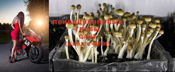 крисы Горнозаводск