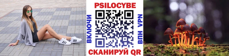 Купить где  Задонск  Псилоцибиновые грибы MAGIC MUSHROOMS 